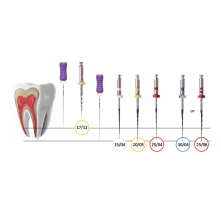 UDG Endo Files - Platinum V.EU Sequence