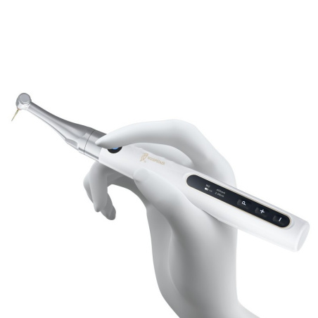 DTE WOODPECKER - Endo Pace - Moteur Endo