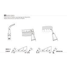 DTE WOODPECKER - INSERT GS2