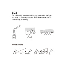 Insert dentaire extraction WOODPECKER DTE - SC8 - wamkey.com