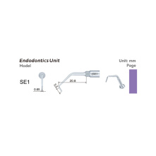 Insert WOODPECKER DTE - SE1