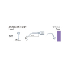 Insert WOODPECKER DTE - SE3