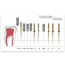 FANTA - V-Taper Gold NiTi Files - Refill