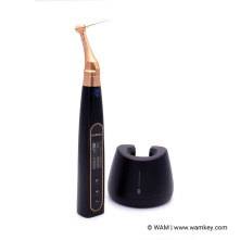 DTE WOODPECKER - Ai-Motor Terauchi Edition DTE WOODPECKER - Ai-Motor Terauchi Edition