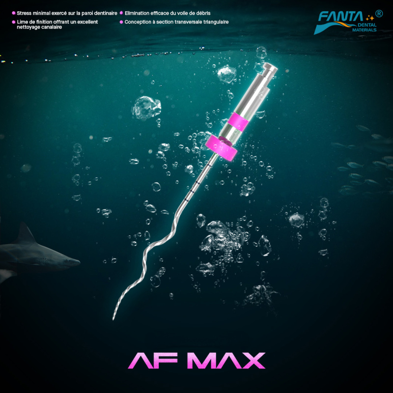 FANTA AF MAX 1 - Finishing file for apical 1/3