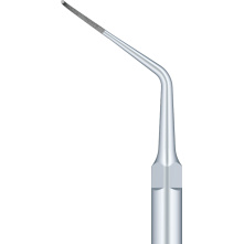 Insert Woodpecker & DTE