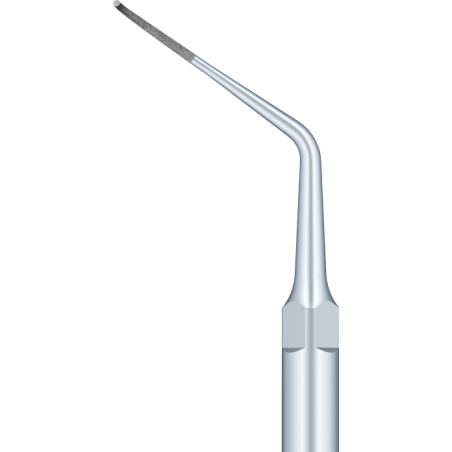 Insert Woodpecker & DTE