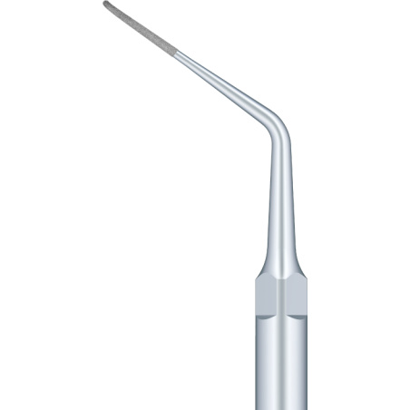 Insert WOODPECKER DTE - P2RD