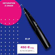 FI-P by DTE Woodpecker : obturation system