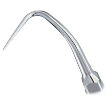 WOODPECKER_INSERT P53R