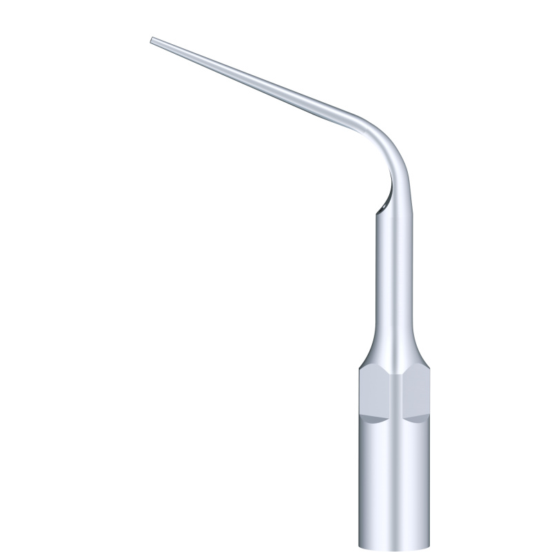 WOODPECKER_INSERT PD10