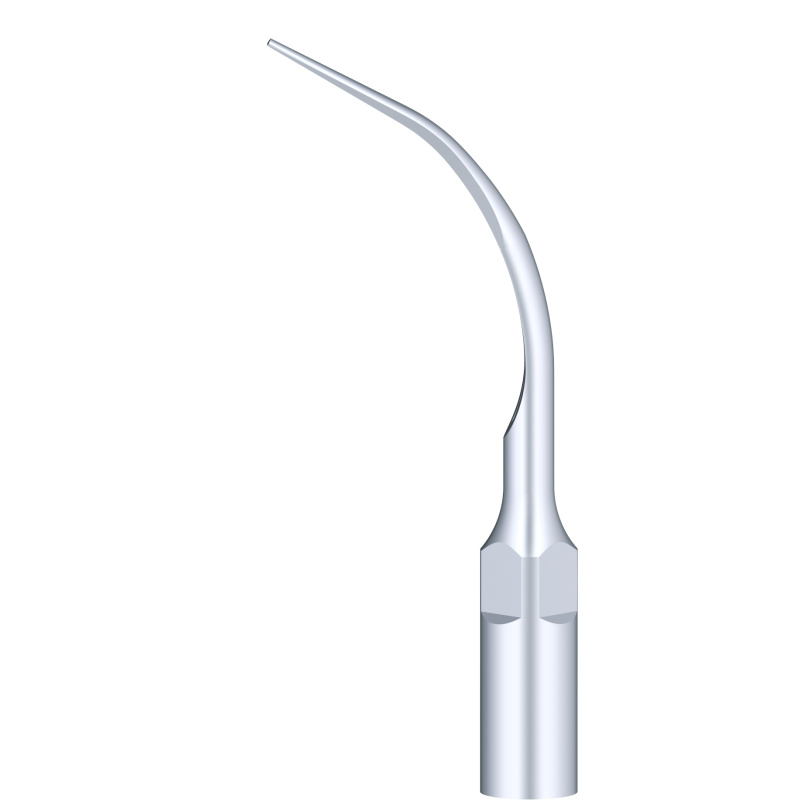 WOODPECKER_INSERT P7