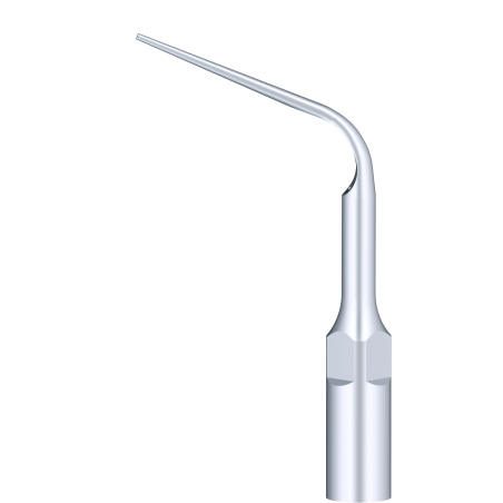 WOODPECKER_INSERT P10