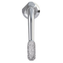 DTE WOODPECKER - Tip G31