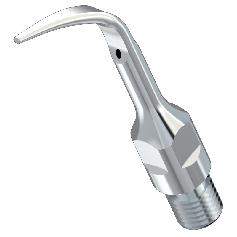 WOODPECKER_INSERT GS4