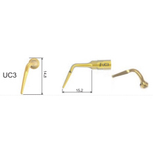 DTE WOODPECKER - INSERT UC3