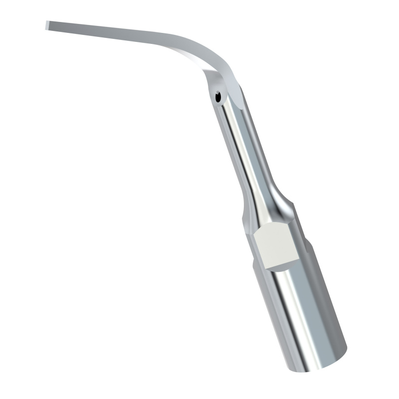 Insert Woodpecker & DTE