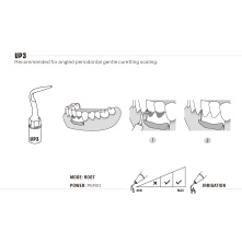 Insert Woodpecker & DTE
