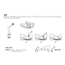 Insert Woodpecker & DTE