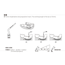 Insert Woodpecker & DTE