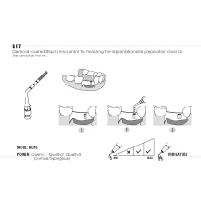 Insert Woodpecker & DTE