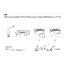 Insert WOODPECKER DTE - UL3