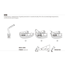Insert WOODPECKER DTE - US6 Insert WOODPECKER DTE - US6