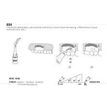 Insert WOODPECKER DTE - US4 Insert WOODPECKER DTE - US4