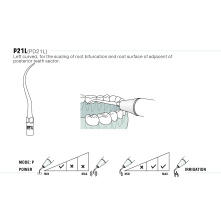 Insert WOODPECKER DTE - P21L