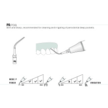 Insert Woodpecker & DTE