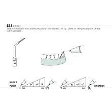 Insert Woodpecker & DTE G33