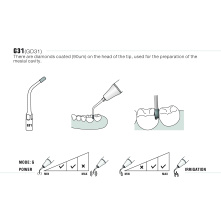 Insert Woodpecker & DTE GD31