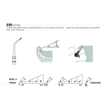 Insert Woodpecker & DTE GD30