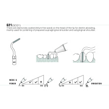 Insert Woodpecker & DTE