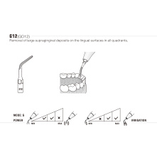 Insert Woodpecker & DTE GD12