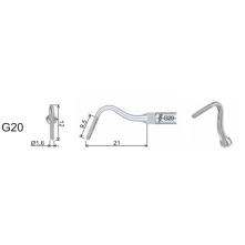 Insert Woodpecker & DTE GD20