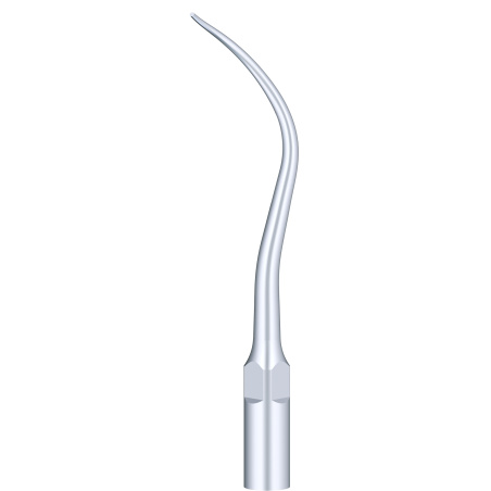 Insert Woodpecker & DTE