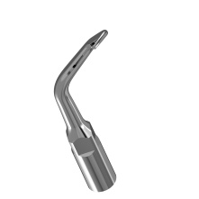 Insert Woodpecker & DTE