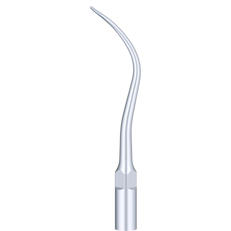 Insert Woodpecker & DTE