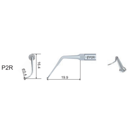 DTE WOODPECKER - INSERT PD2R