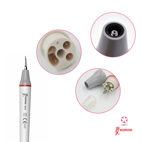 DTE WOODPECKER - Pièce à main LED HW-5L compatible EMS®