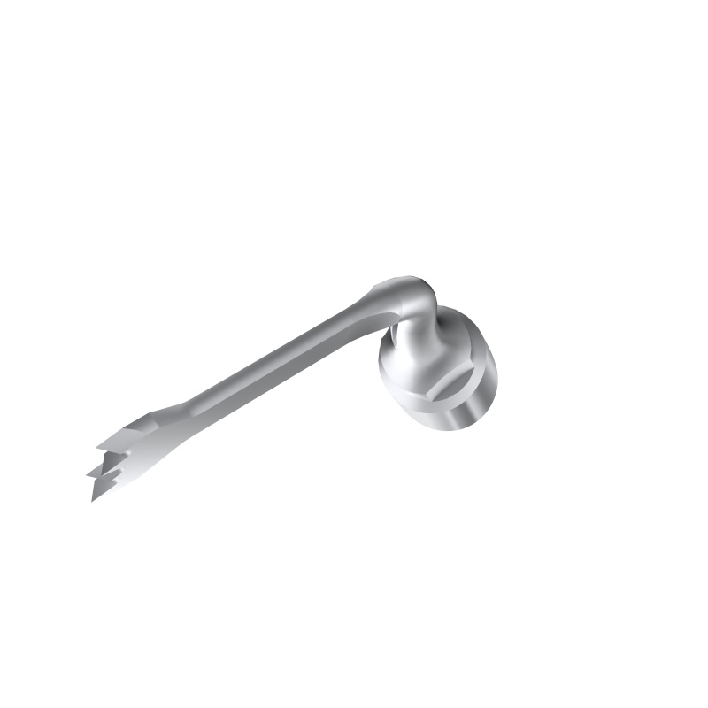 Insert WOODPECKER DTE - SS2 Insert WOODPECKER DTE - SS2