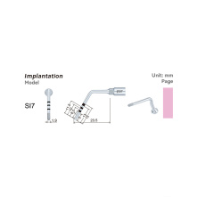 Insert WOODPECKER DTE - SI7