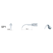 DTE WOODPECKER - Tip SP1