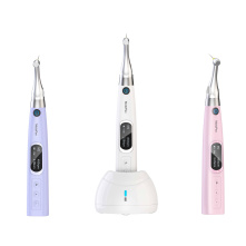 Moteur endo Motopex - Woodpecker DTE