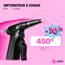 FI-G de DTE Woodpecker : obturation à chaud