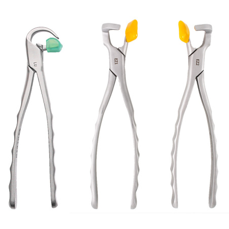 PHYSICS FORCEPS - Essential kit