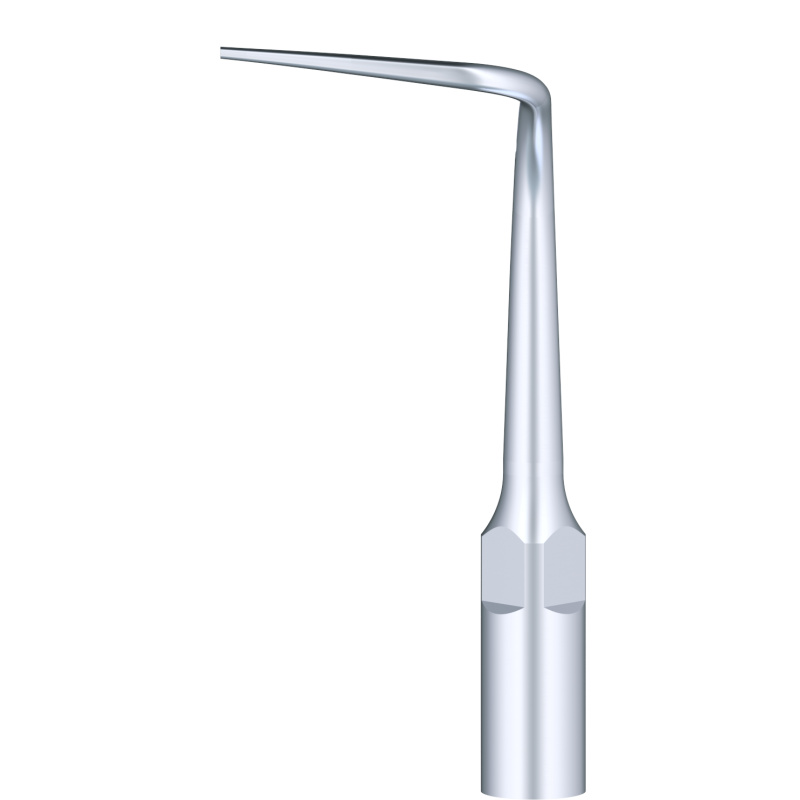 WOODPECKER_INSERT P53L