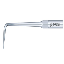 DTE WOODPECKER - Tip P53L