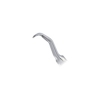 WOODPECKER_INSERT GD10